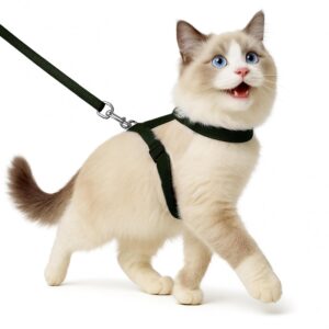 Buraq Pets Plain Full Body Cat Harness with Leash Set for Walking, Outdoor, Escape Proof Cat Belt, Adjustable & Durable Ideal Accessories for Cats (Black)